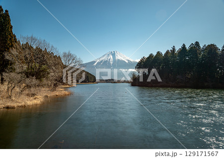 田貫湖から望む富士山 田貫湖から望む富士山 129171567