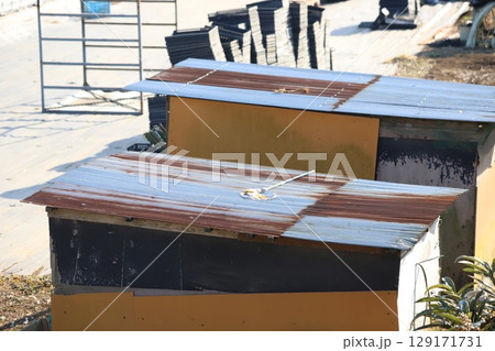 物置小屋の上に置きっぱなしの虫取り網 129171731