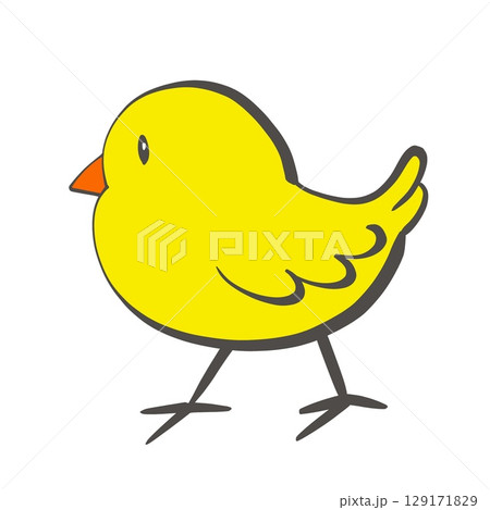 ひよこ1 129171829