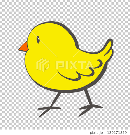 ひよこ1 129171829
