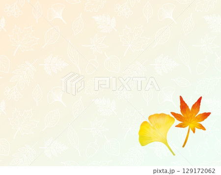 モミジとイチョウの背景 B-2 モミジとイチョウの背景 B-2 129172062