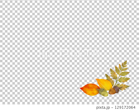 樹葉和橡實的背景C-1 129172064