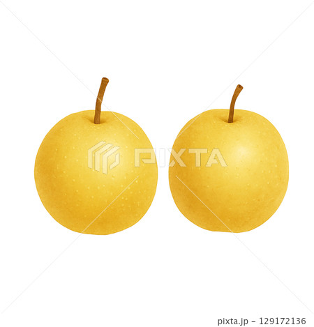 秋の梨が2個並んだシンプルな水彩イラスト（切り抜き） 129172136