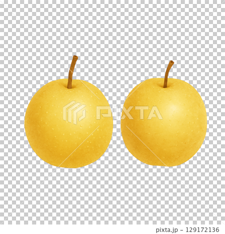 秋の梨が2個並んだシンプルな水彩イラスト（切り抜き） 129172136