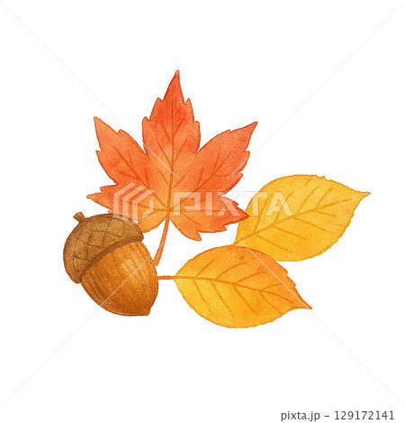 秋の紅葉とどんぐりの水彩イラスト素材セット（切り抜き） 129172141