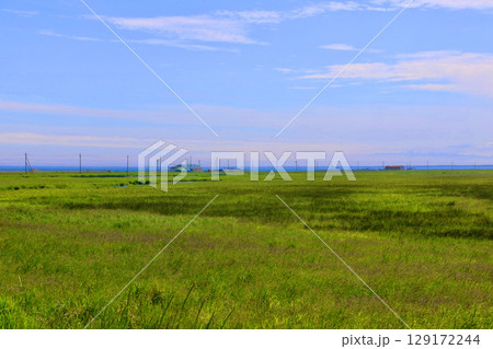 草原・湿地帯・野付半島（北海道・別海町） 129172244