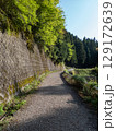 金剛山への登山道(黒栂谷道) 金剛山への登山道(黒栂谷道) 129172639