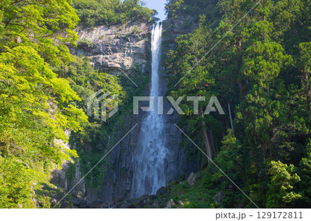 那智の滝 那智の滝 129172811