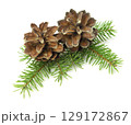 A natural holiday arrangement of fir branches and cones, displayed on a white background with shadow in a close-up view. 129172867