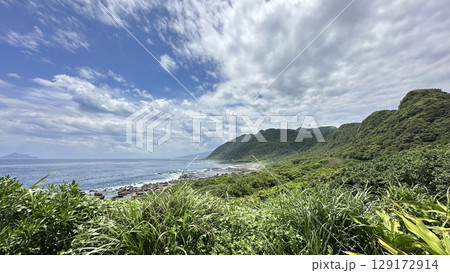台湾 東海岸 とうがん 129172914
