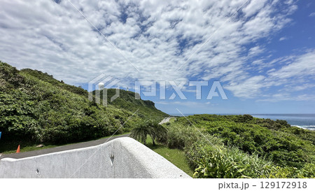 台湾 東海岸 とうがん 129172918