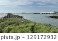 台湾 東海岸 とうがん 129172932
