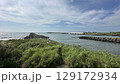 台湾 東海岸 とうがん 129172934