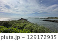台湾 東海岸 とうがん 129172935