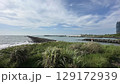 台湾 東海岸 とうがん 129172939