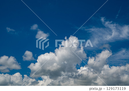 夏雲と青空 長野県白馬村 夏雲と青空 長野県白馬村 129173119