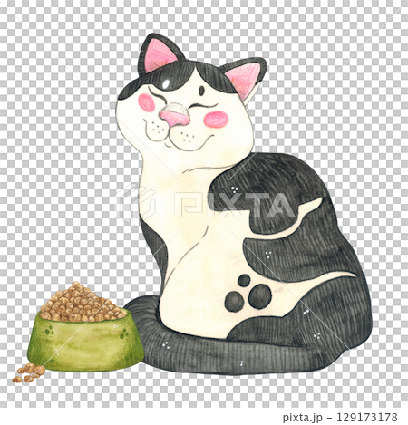 A black and white cat sits next to a green cup filled with pet food. Watercolor illustration hand drawn, cartoon. Drawing for stickers, cards, posters. Feed, cat, food, nutrition, cup, green A black and white cat sits next to a green cup filled with pet food. Watercolor illustration hand drawn, cartoon. Drawing for stickers, cards, posters. Feed, cat, food, nutrition, cup, green 129173178