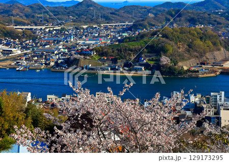 【広島県】桜咲く春の千光寺公園から見た尾道の町並み 【広島県】桜咲く春の千光寺公園から見た尾道の町並み 129173295
