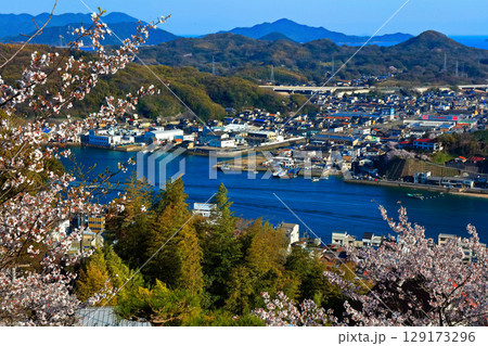 【広島県】桜咲く春の千光寺公園から見た尾道の町並み 129173296