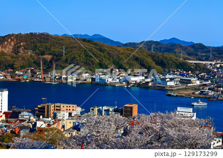 【広島県】桜咲く春の千光寺公園から見た尾道の町並み 129173299