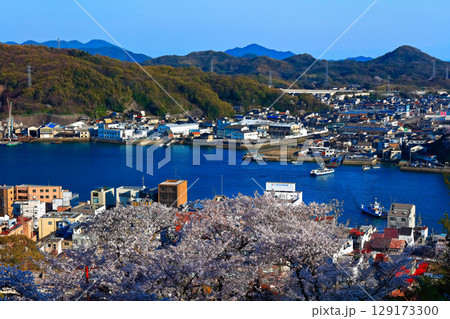 【広島県】桜咲く春の千光寺公園から見た尾道の町並み 129173300