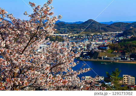 【広島県】桜咲く春の千光寺公園から見た尾道の町並み 129173302