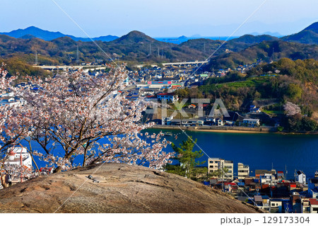 【広島県】桜咲く春の千光寺公園から見た尾道の町並み 【広島県】桜咲く春の千光寺公園から見た尾道の町並み 129173304