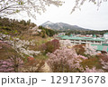 桜咲く亀ヶ城公園より磐梯山を望む 桜咲く亀ヶ城公園より磐梯山を望む 129173678
