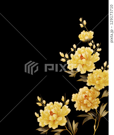 黒背景に咲く牡丹の花 129173710