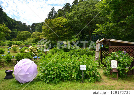 涸沼自然公園　2025-6-28　＃23 129173723