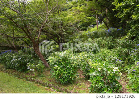 涸沼自然公園　2025-6-28　＃40 129173926