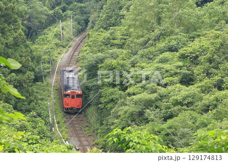 夏の山口線 129174813