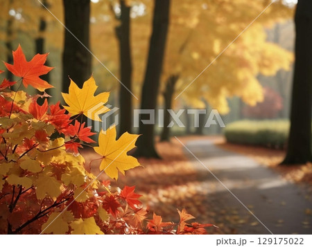 紅葉が迎える道の入り口 129175022