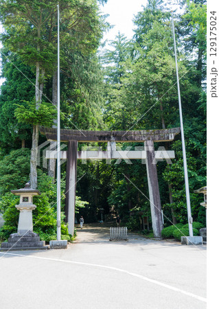 木々に囲まれた「しらやま比咩神社」の表参道の鳥居｜パワースポット｜石川県白山市 129175024
