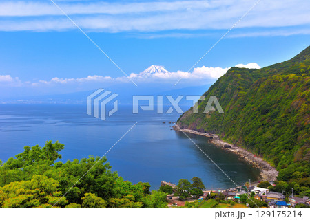 中部地方・伊豆半島・煌めきの丘・井田集落と駿河湾越しの富士山、日本の原風景・静岡県沼津市井田(3) 129175214