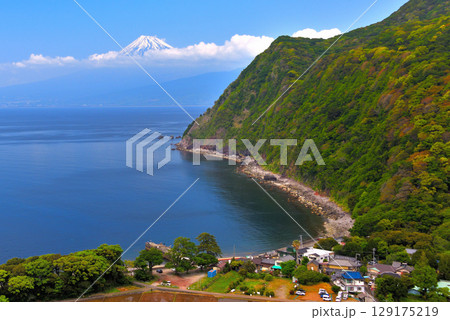 中部地方・伊豆半島・煌めきの丘・井田集落と駿河湾越しの富士山、日本の原風景・静岡県沼津市井田(8) 129175219