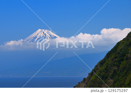中部地方・伊豆半島・煌めきの丘・伊豆ドライブで楽しむ絶景、駿河湾越しの富士山・静岡県沼津市井田(5) 129175297