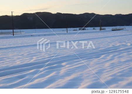 夕日に灯された雪原 夕日に灯された雪原 129175548