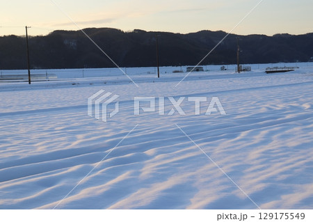 夕日に灯された雪原 夕日に灯された雪原 129175549