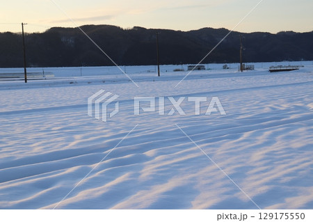 夕日に灯された雪原 夕日に灯された雪原 129175550