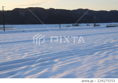 夕日に灯された雪原 夕日に灯された雪原 129175553