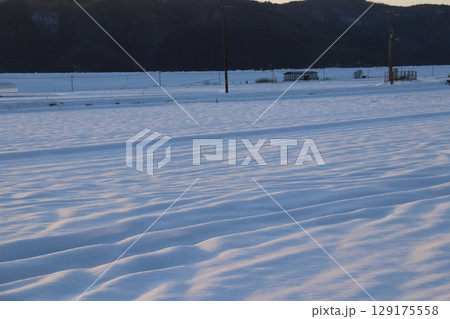 夕日に灯された雪原 129175558