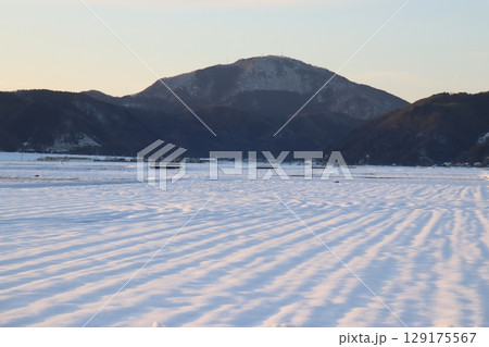 夕日に灯された雪原 夕日に灯された雪原 129175567