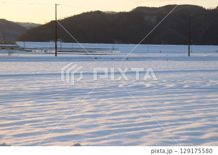 夕日に灯された雪原 夕日に灯された雪原 129175580