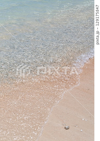 白い砂浜とサンゴ 白い砂浜とサンゴ 129175847