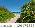 海へ続く道 129175852