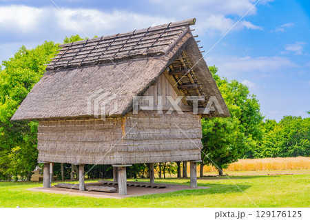 【佐賀県 】吉野ヶ里遺跡　住居 129176125