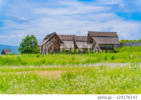 【佐賀県 】吉野ヶ里遺跡 住居 【佐賀県 】吉野ヶ里遺跡 住居 129176141