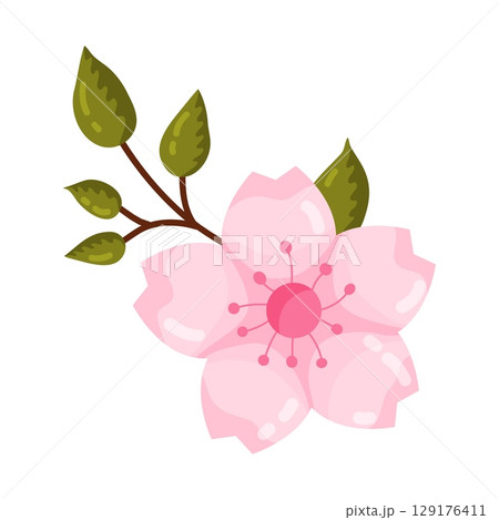 Single Pink Cherry Blossom Branch Element Single Pink Cherry Blossom Branch Element 129176411