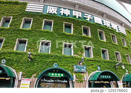 兵庫県　西宮市　阪神　甲子園球場　高校野球 129176602